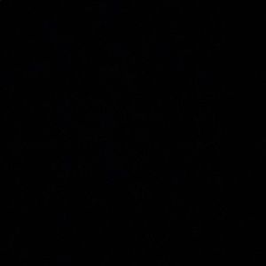 Meet your Posher, Mel